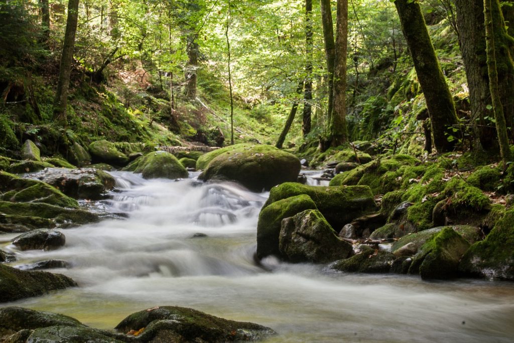 The Best Time Of Year To Fish For Trout (and How To Catch Them In Any  Season) - More Trout